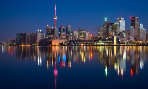 中药沙参功效与主治-中药砂仁主治功效-专业中药砂仁的功能主治平台-中药砂仁功效